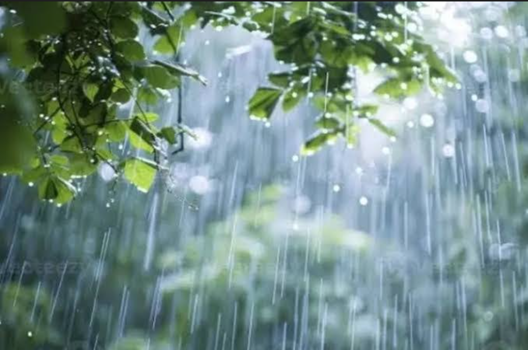 Wilayah Riau Hari Ini Masih Berpotensi Hujan Ringan